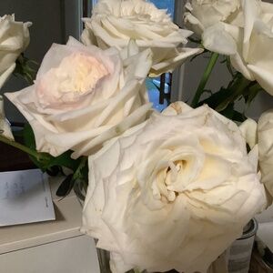 Meet your Posher, Dee